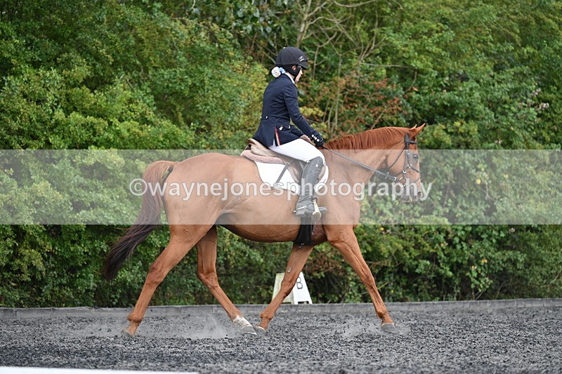 WJ7_7852 - Time 13:40 to 14:00