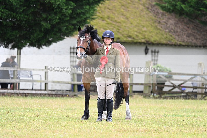 WJ7_6404 - Class 4a Prettiest Mare over 14hh