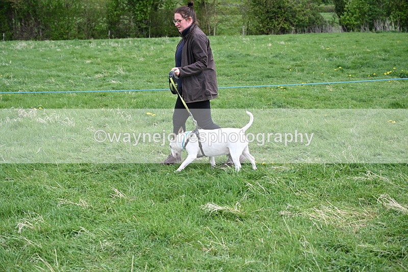 WJ6_8095 - Class 2 Best Pedigree