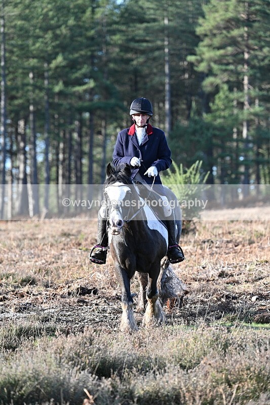 WJ7_7297 - Line 3 (no line 4 or 5)