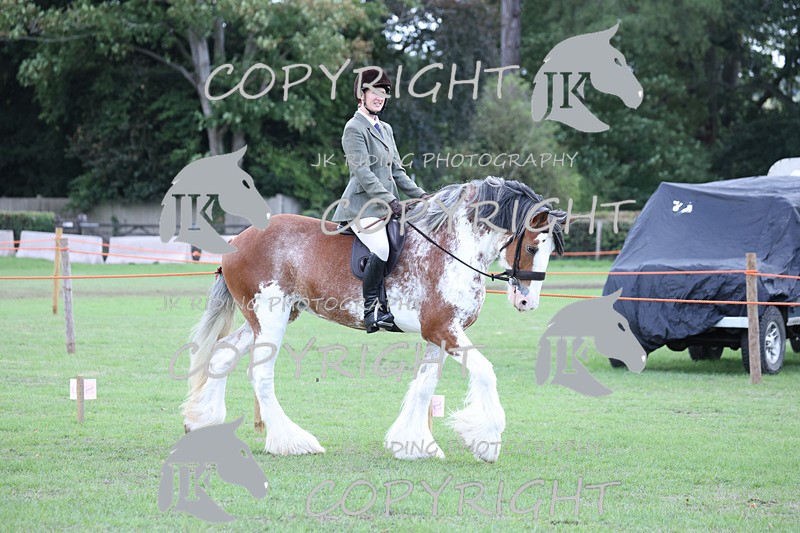 APP_3614 - Class 8 Ridden Class