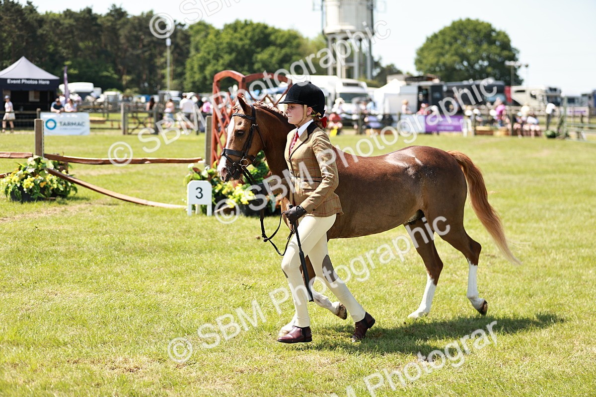 SBM_15690 - Class 108-109 - BSPS LIHS Open Gradle & Nursery Stakes