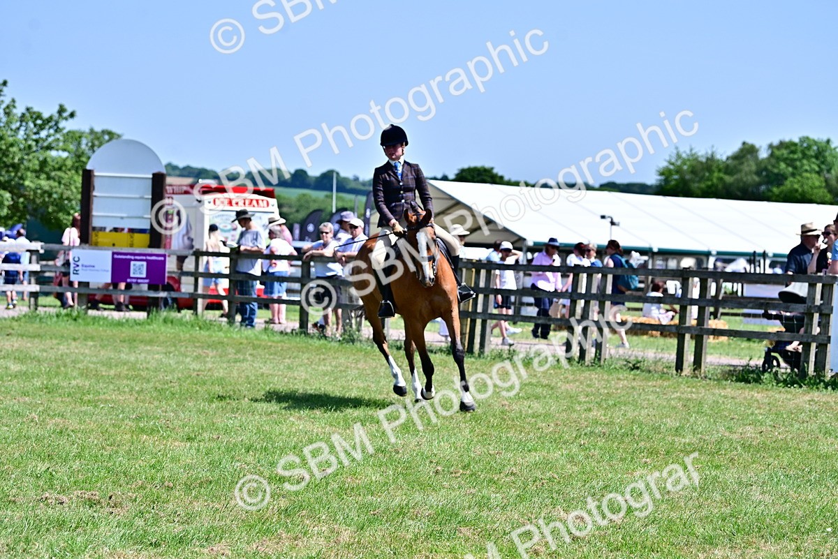 SBM_17428 - Class 95-97 - BSPS LHS Performance Ponies