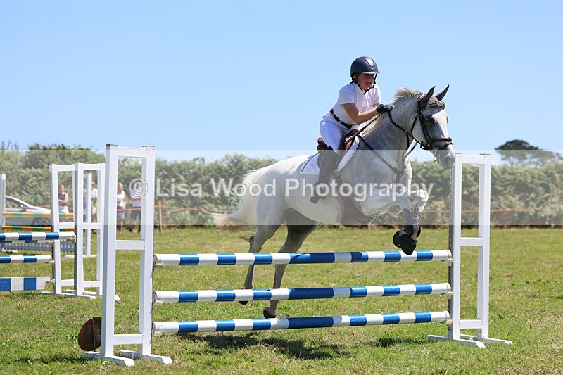 3E7A5612 - Class 9: Senior British Novice/90cm open