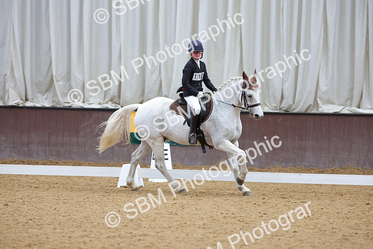 SBM_002997 - Novice