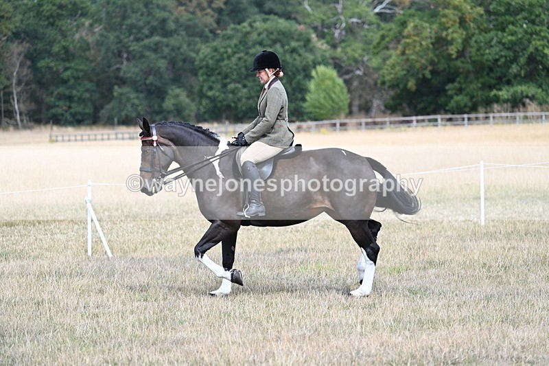 WJ7_5828 - Class 13 Ridden Veterans