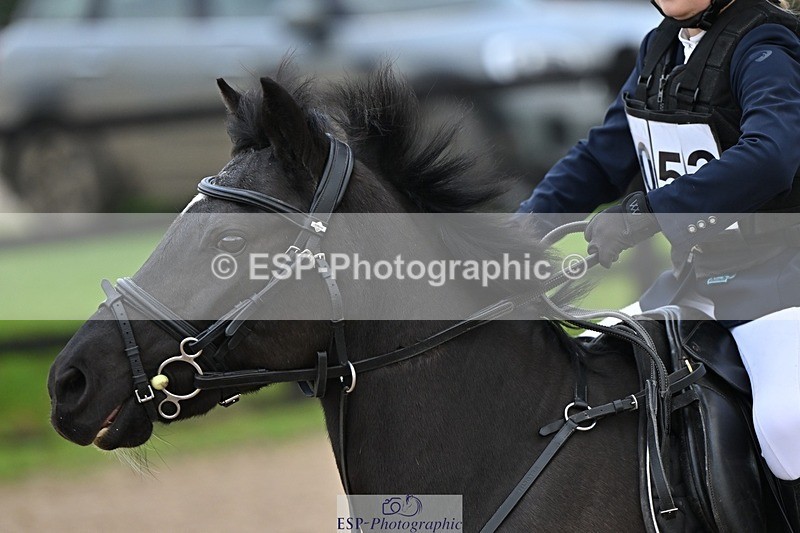 241110-101035-00202 - 40cm Showjumping