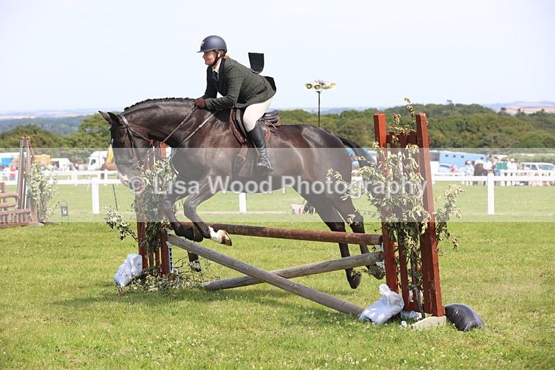 JPP_3594 - Class 23: Working Hunter 80cm