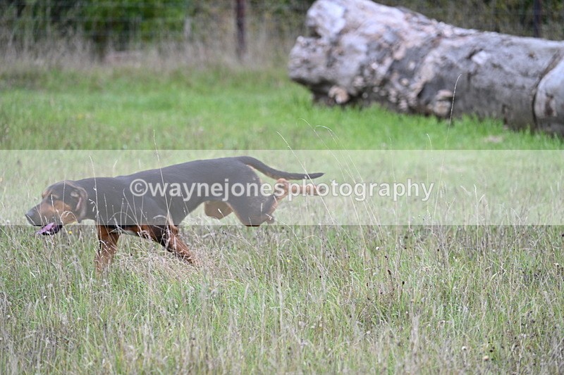 WJ7_3536 - Camera 1 Line 1