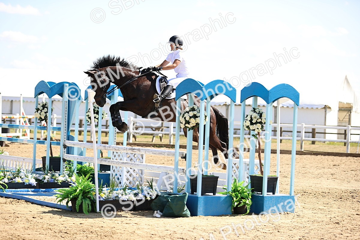 SBM_015454 - Class 16 - Senior foxhunter - 1.20m Open