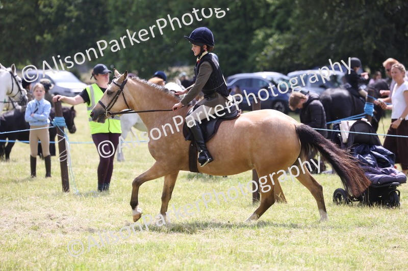 20260614-1800 - Class 21 - Novice Working Hunter Pony