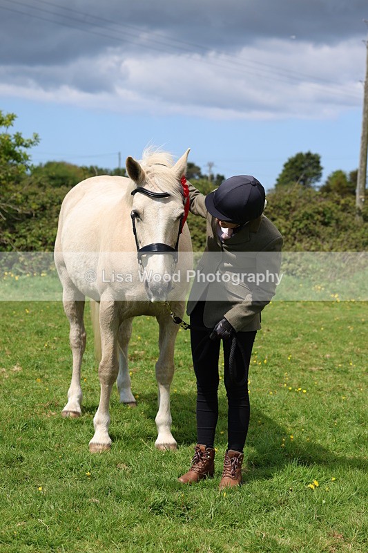 3E7A0405 - Class 19: Best Coloured in Hand
