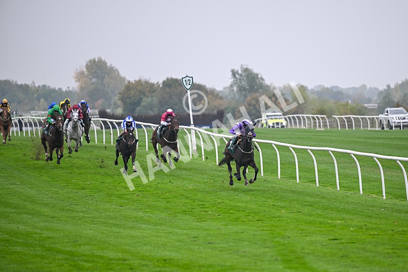 181025-Race 3-Secret Sonata-0442 - Race 3