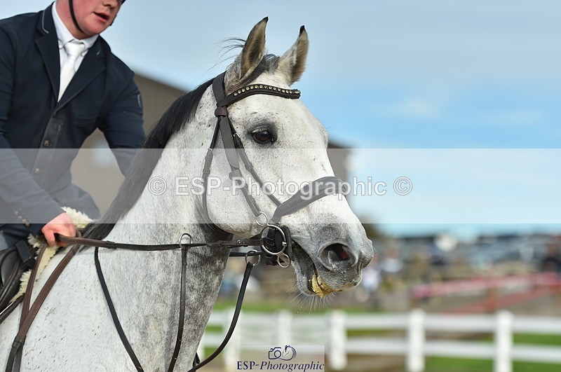 231111A-130524-02038 - Cls 12 Newcomers & 1.10m Open