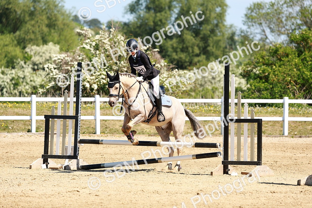 SBM_007383 - Class 3 - 60cm