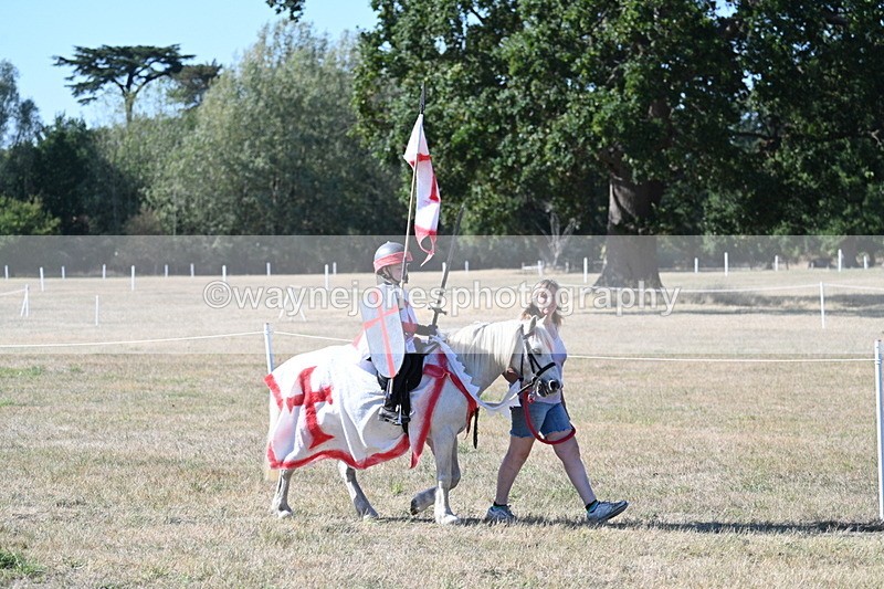 WJ7_2317 - Class 45 Fancy Dress (My Fav)