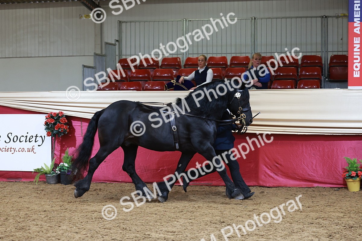 SBM_17411 - Class 951 - M&M IH Supreme Final