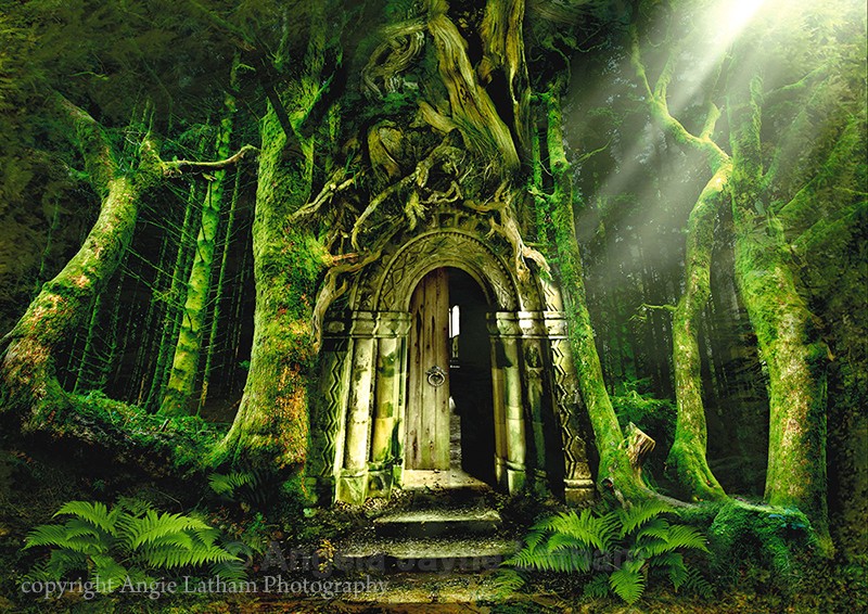 The Emerald Forest - Enchanted Places