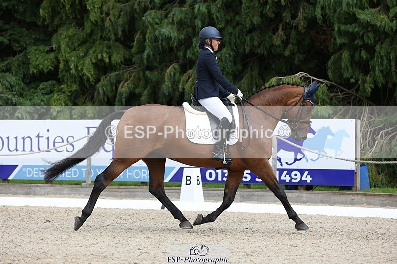 230812-150211-05033 - Cls 5 Novice Bronze 15.00 to End