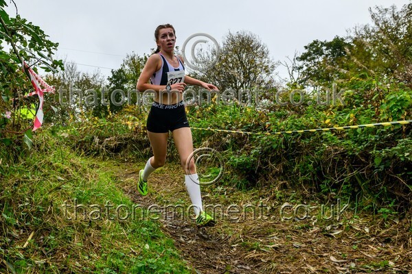 WestRLY25-811883 - Young Female Set Two