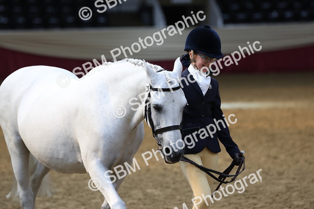 SBM_22523_Class 902 - Supreme Final - IH Veteran - Vicky Gutteridge