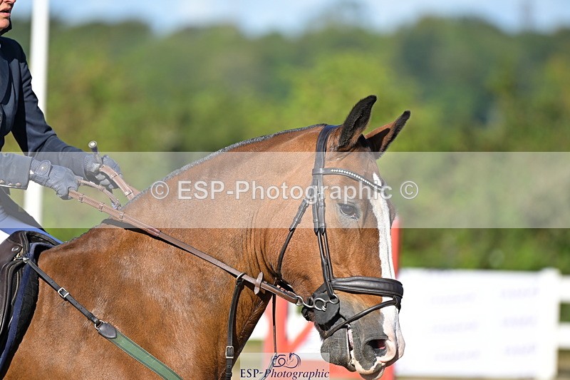 240912A-093842-00726 - Cls 8 Snr British Novice and 90cm Open