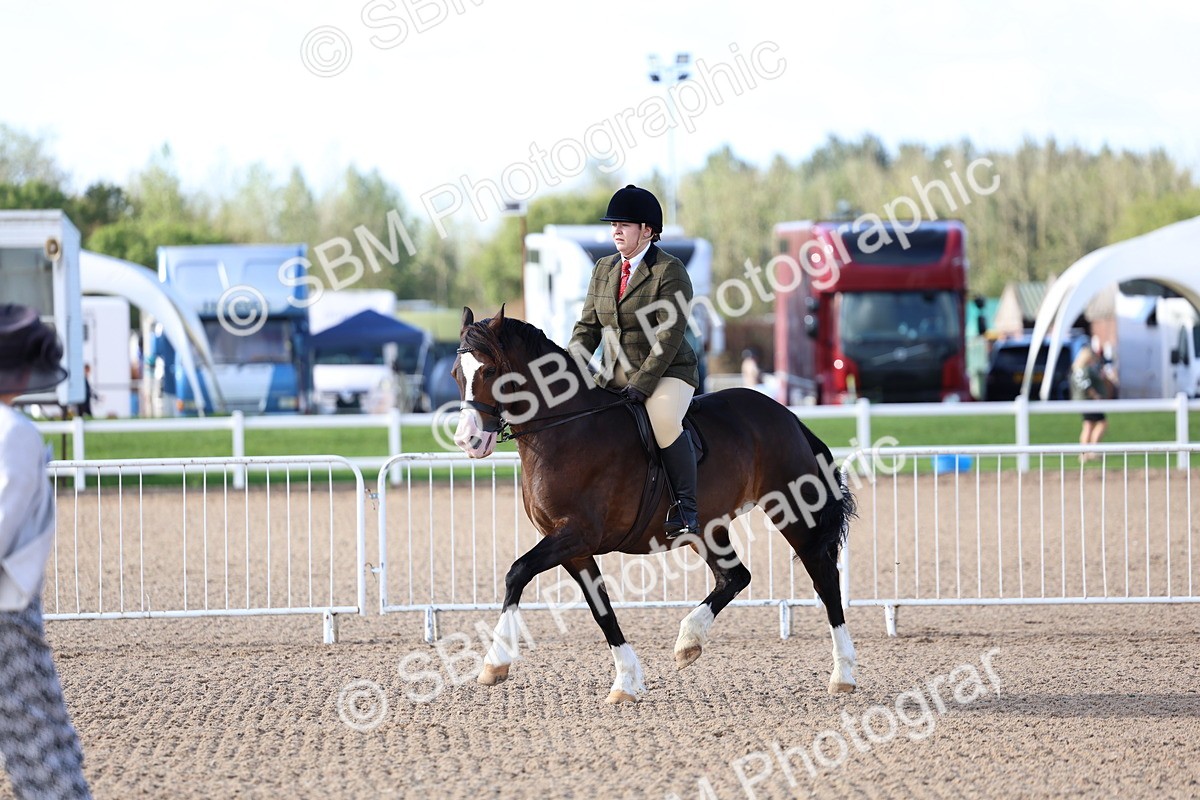 SBM_08927 - Class 302 - Ridden M&M - Large Breeds