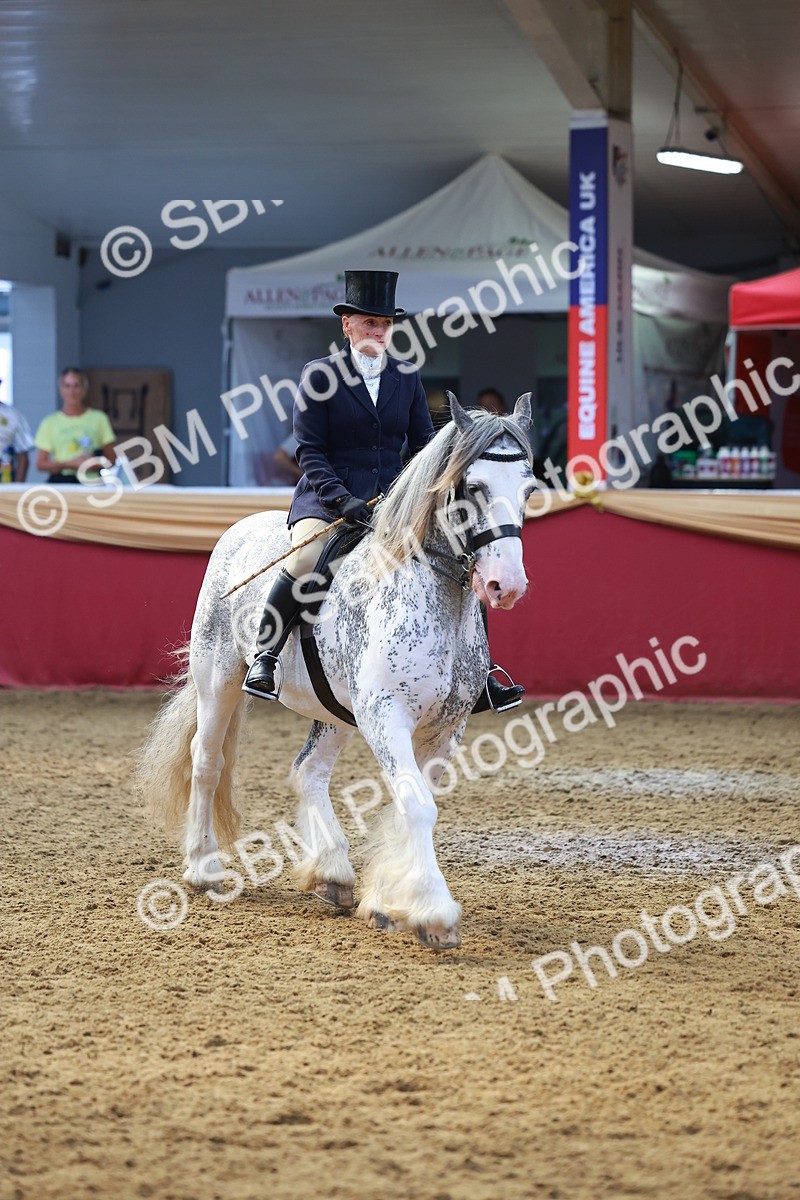 SBM_20115