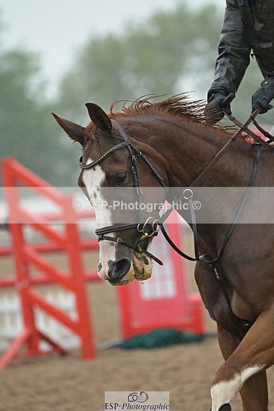 240925A-140109-01033 - Cls 5 Foxhunter and 1.20m Open
