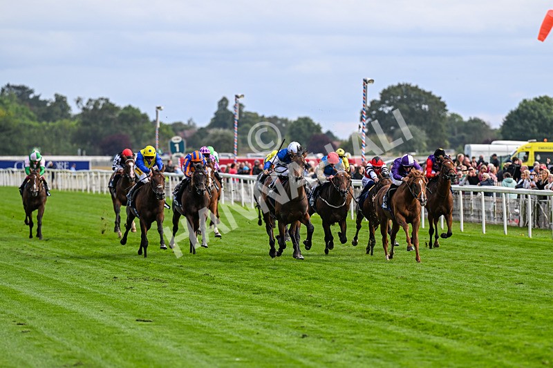 210826-Race 6-Benjamin Hornigold-7131 - Race 6 16.45pm British Stallion Studs EBF Convivial Maiden Stakes