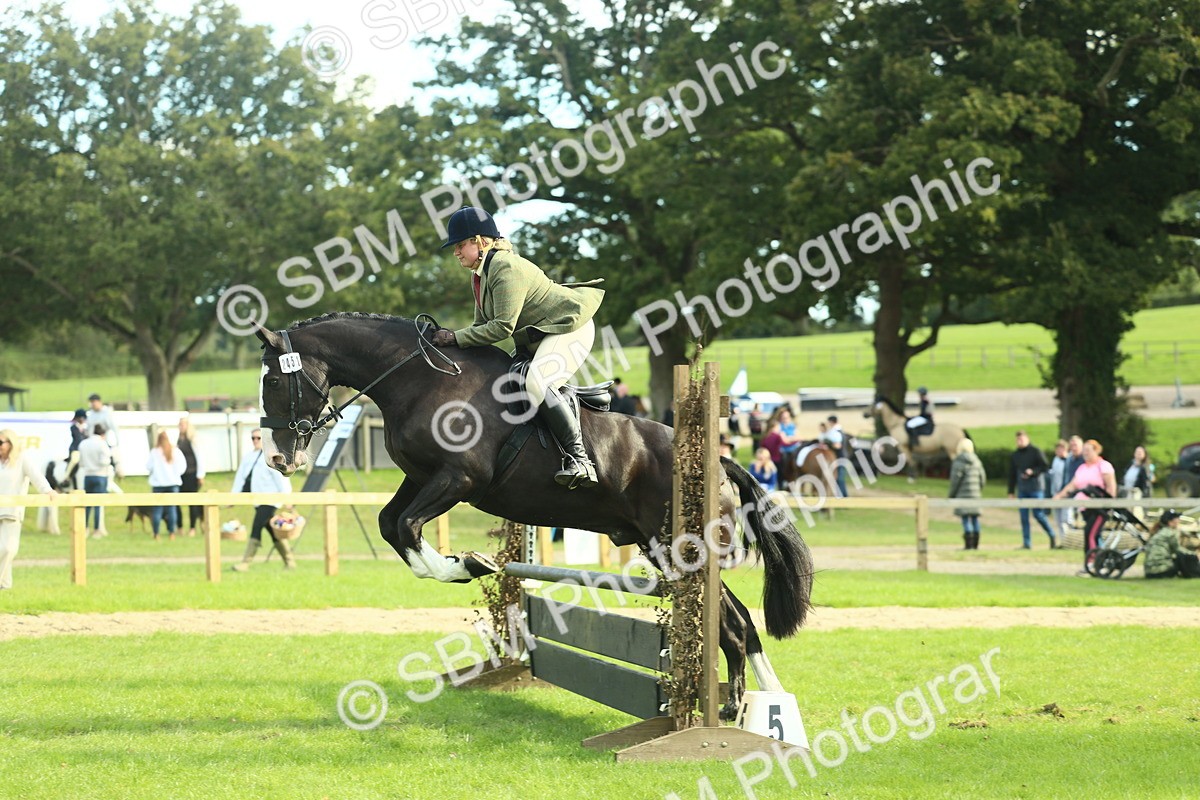 SBM_50619 - S33 - Working Hunter & Working Show Horse