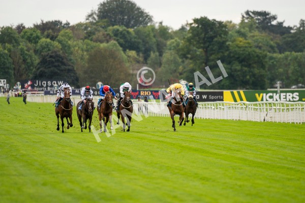 230923-Race 1-Invincible Molly-5550 - Race 1 2.00pm Jigsaw Sports Branding EBF Fillies' Novice Stakes