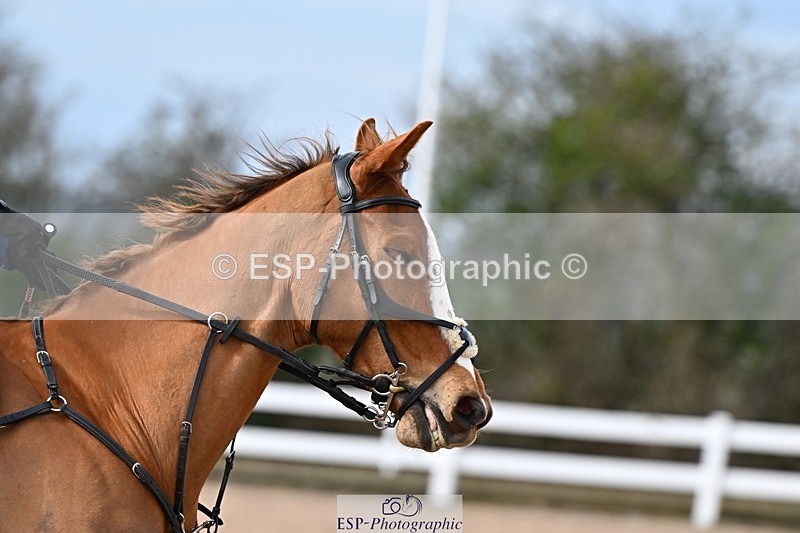 250308-114338-01527 - Cls 24+25 Club and Schools 80cm