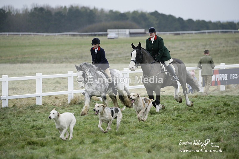 PtP 220122 290 - Royal Artillery Hunt Point-to-Point  - Larkhill Racecourse 22/01/22