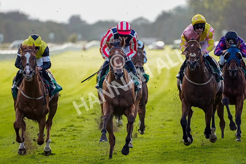 050926-Race 8-Nyman-3 - Race 8 5.35pm Thirsk Racecourse Ideal Conference & Events Venue Handicap (Div II)