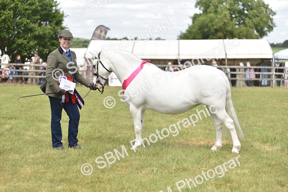 SBM_16141 - Class 117-122 - SSADL RIHS Qualifier