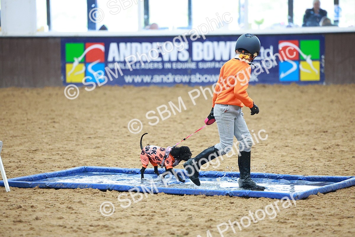 SBM_001710 - Class 3 - Horse & Hound (60cm)