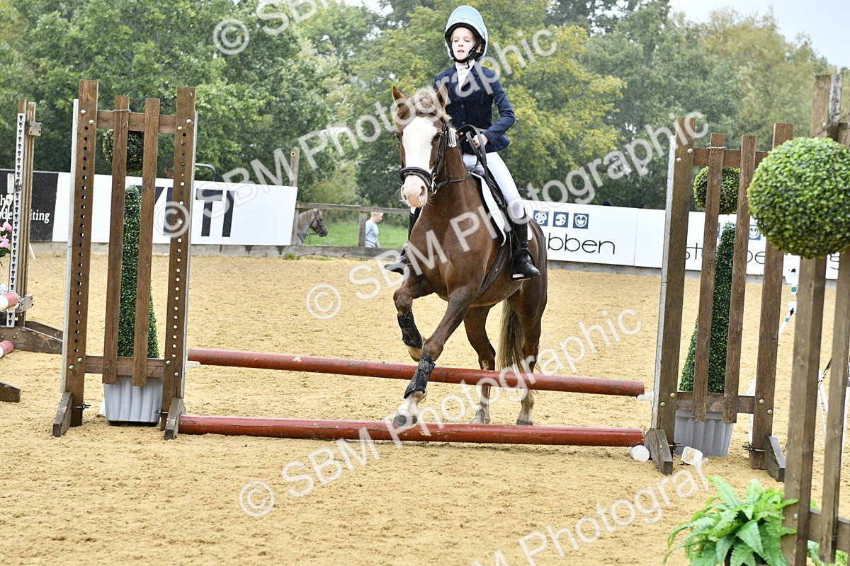 SBM_70886 - J3 - Mini Tour Junior Pony 40cm championship