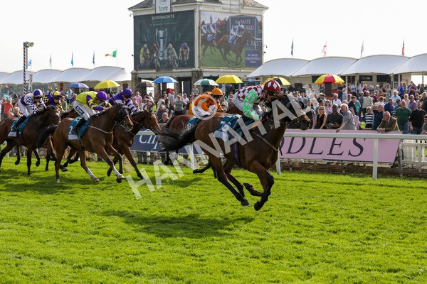 170524-Race 6-Riot-2290 - Race 6 4.45pm Yorkshire Equine Practice Handicap