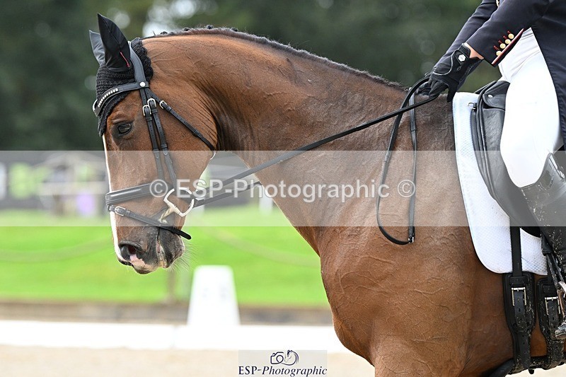 231019-105141-01666 - 034-COOLEY.PARK.MUZE-Gemma.Stevens-DR