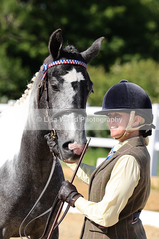 1X9A0775 - Class 4: Youngstock 1, 2, 3 year old to exceed 153cm