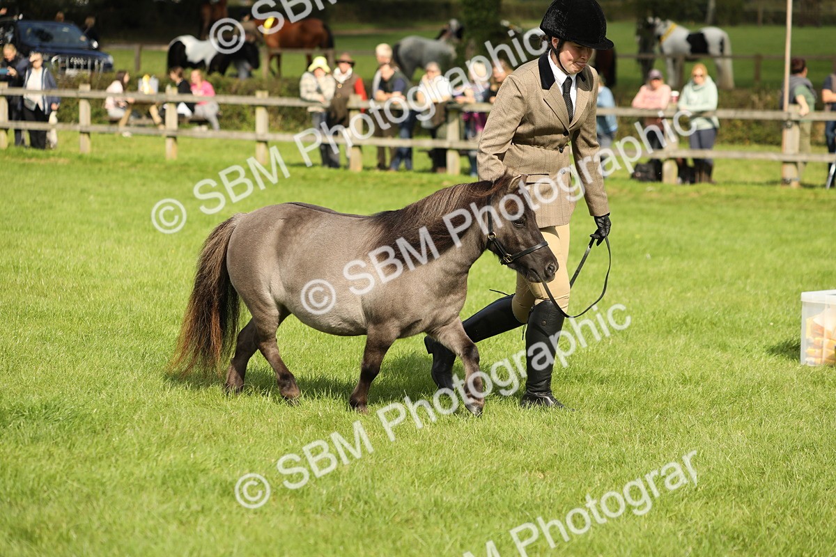 SBM_62795 - S46 - Mountain & Moorland In Hand Small Breeds