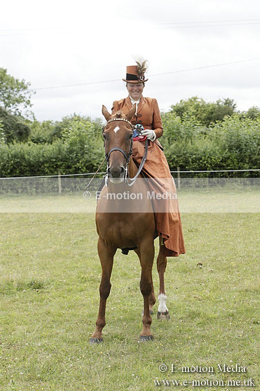 BVR160717-2456 - Side Saddle Classes 16/07/17