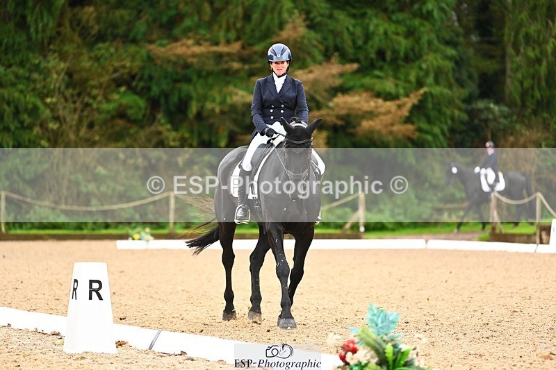 231021-115220-15001 - 343-MIDNIGHT.ROLLERCOASTER-Alison.Lidstone-DR