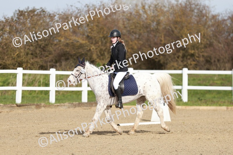 20260314-1121 - DR2 - Intro 3