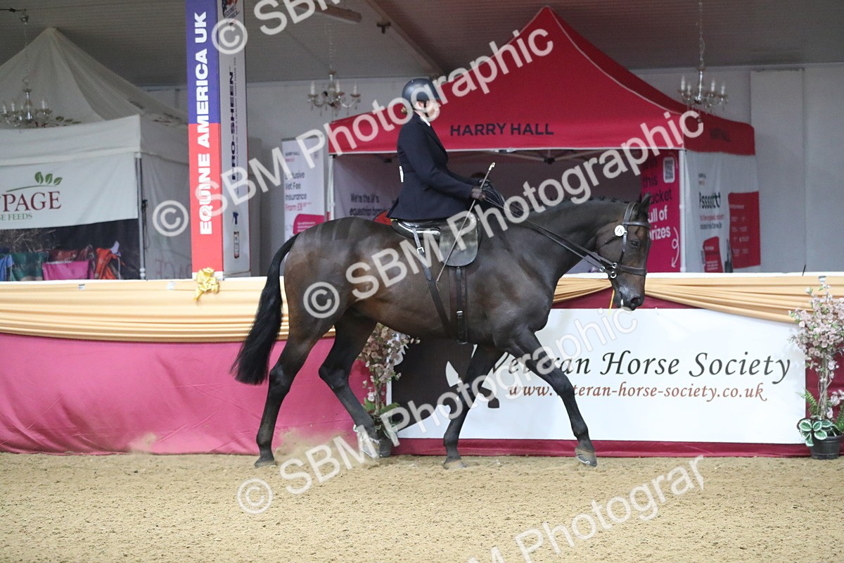 SBM_10337 - Class 102 Equitation (best rider) Adult