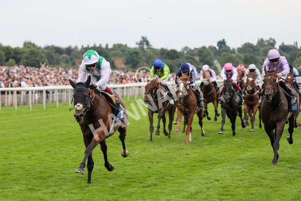 yr20082021r5-19 - Race 5 4.10pm British Stallion Studs EBF Convivial Maiden Stakes (Plus 10 Race)