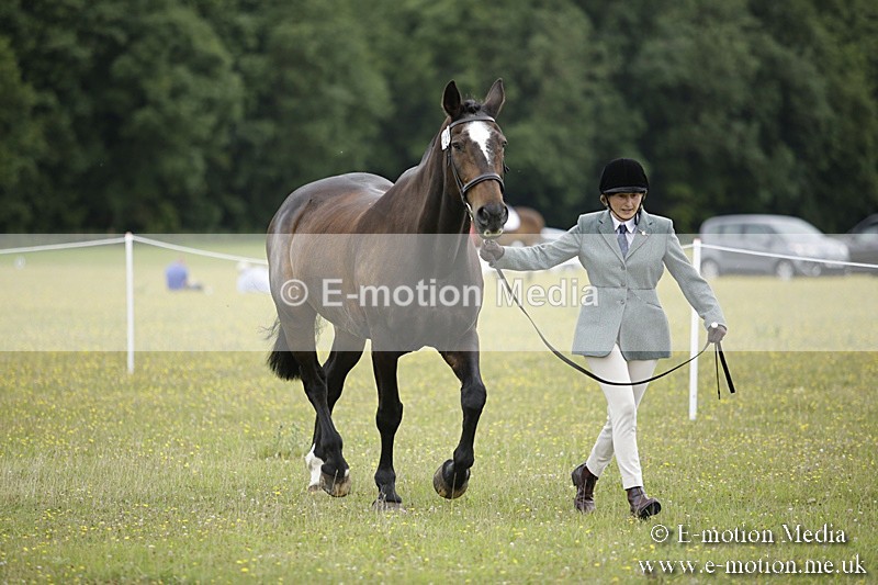 BVR160717-723 - Ring 2 BVRC Show 16/07/17