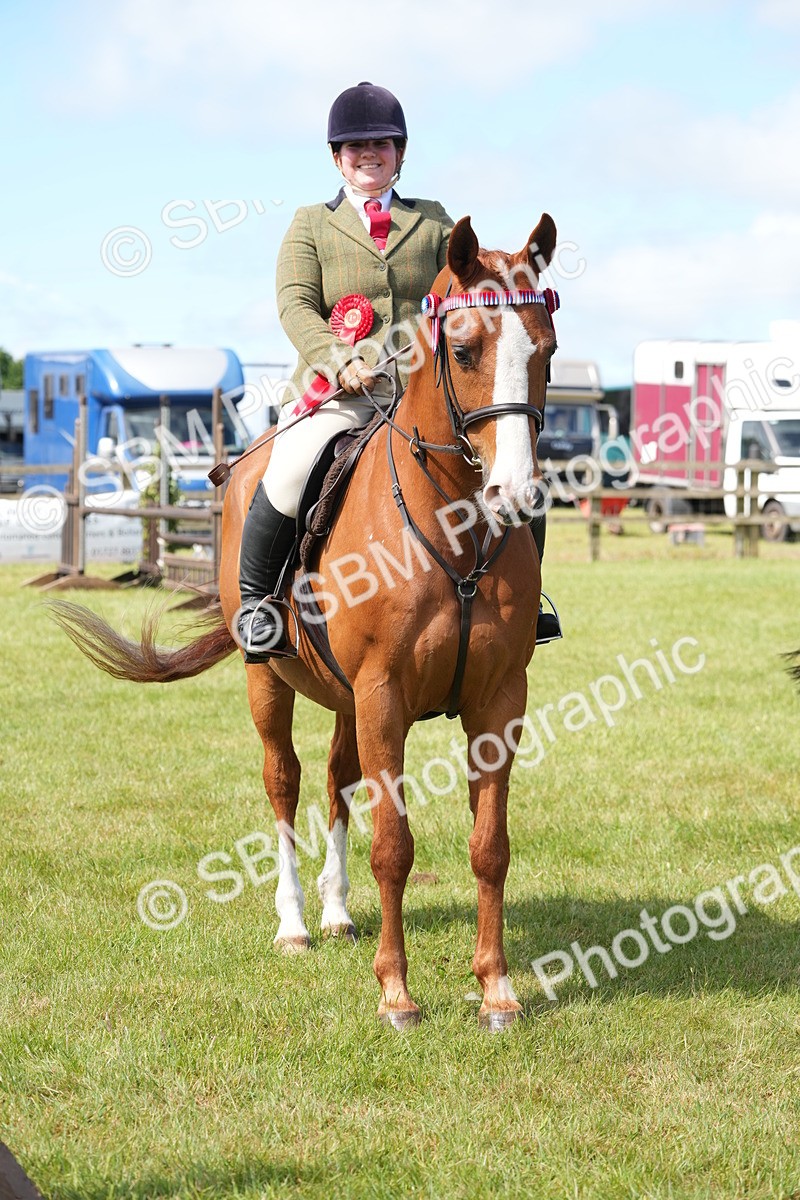 SBM_12970 - Class 99 - RIHS SEIB Working Show Horse