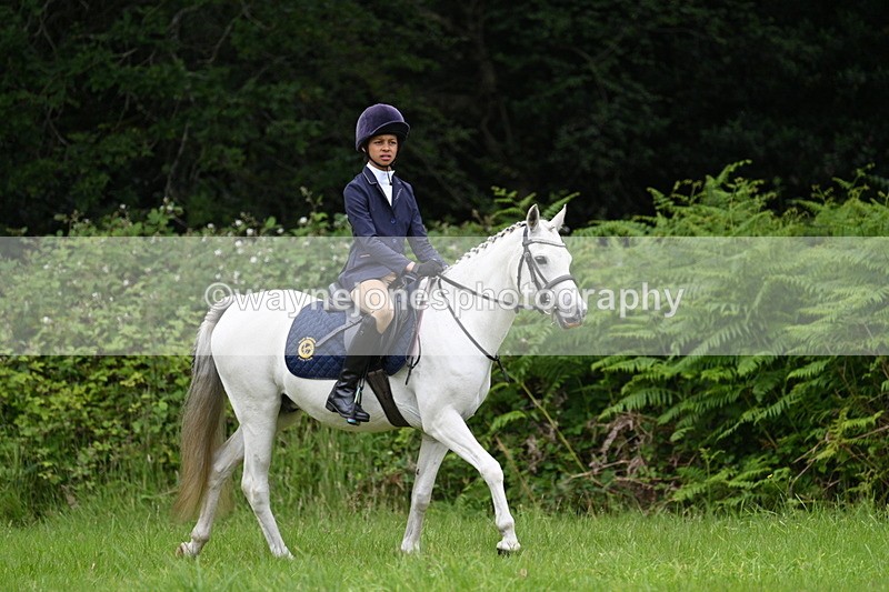 WJ7_3823 - Class 14A Handsome Gelding